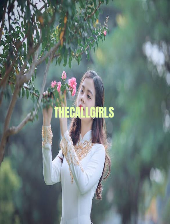 Book Your Call Girl Experience at Hotel Noida Today